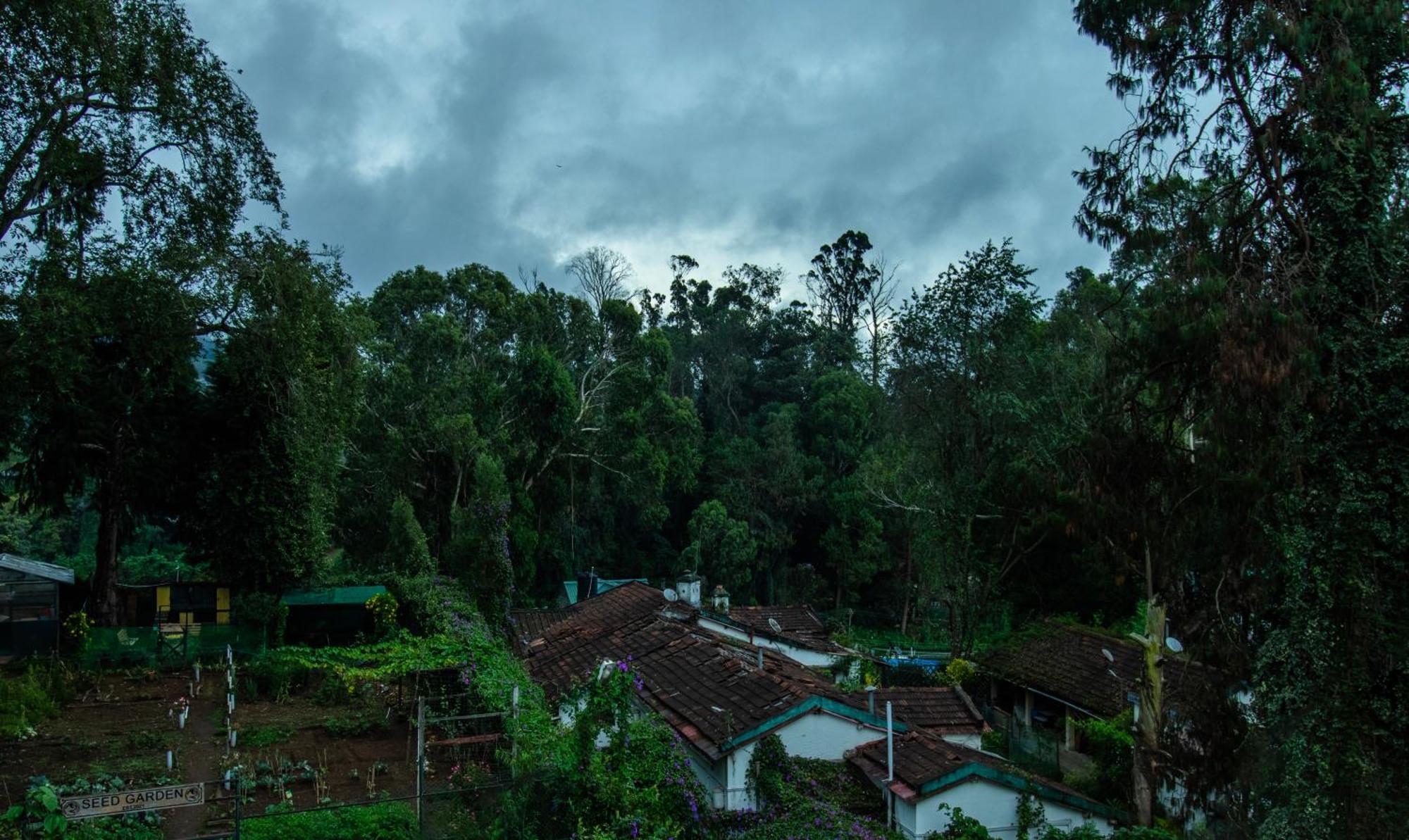 Treebo Kodai Kings Park, 650 M From Kodai Lake コダイカナル エクステリア 写真